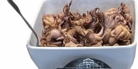 poulpes_au_paprikas