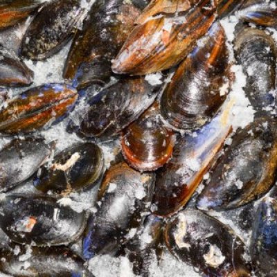 moules-2