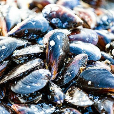 moules